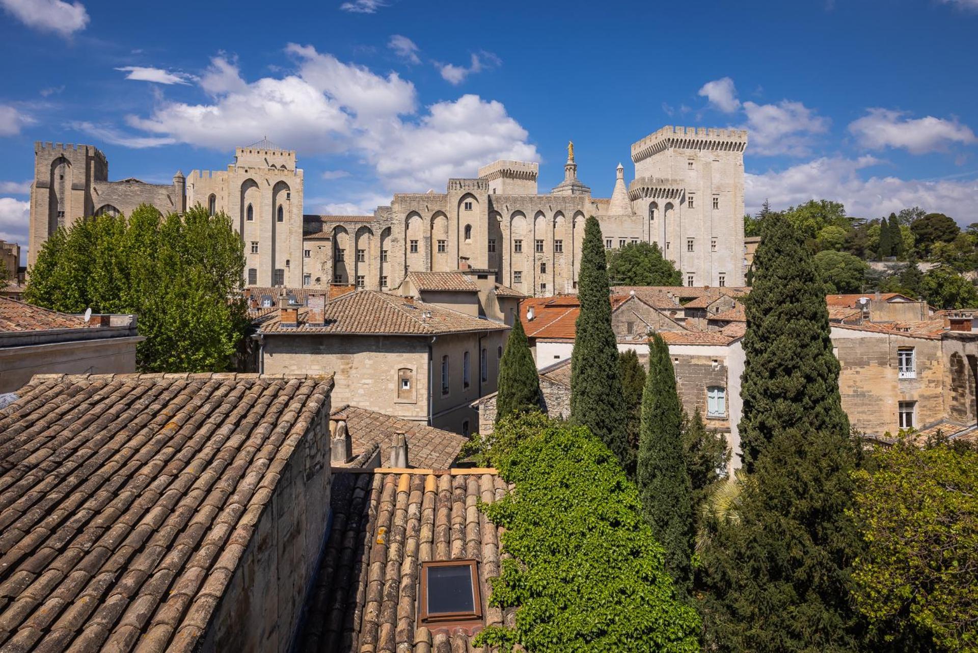 Avignon Intra-Muros, Vue Palais Des Papes 外观 照片