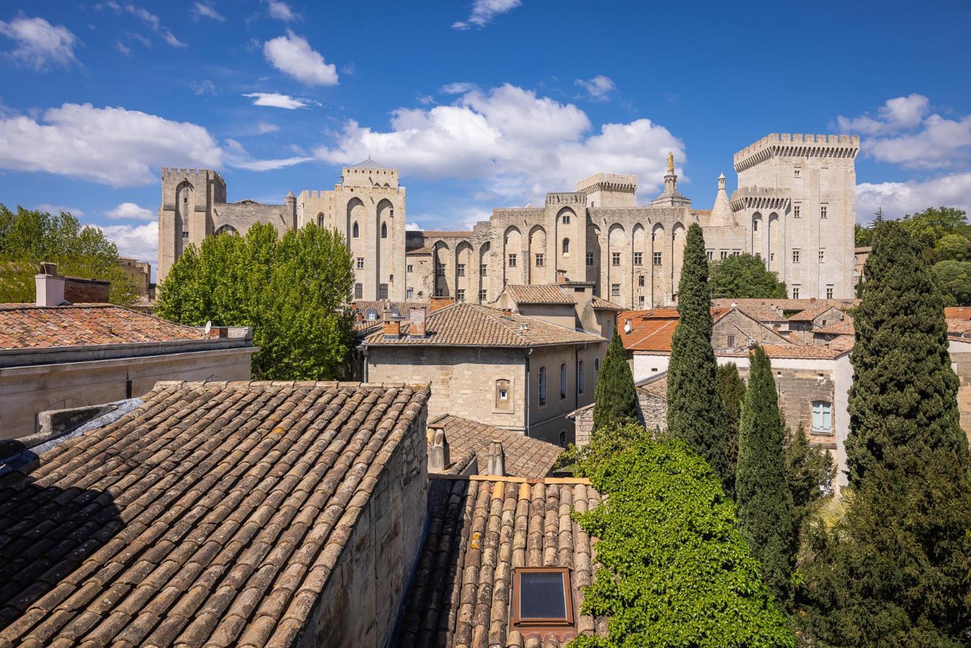 Avignon Intra-Muros, Vue Palais Des Papes 外观 照片